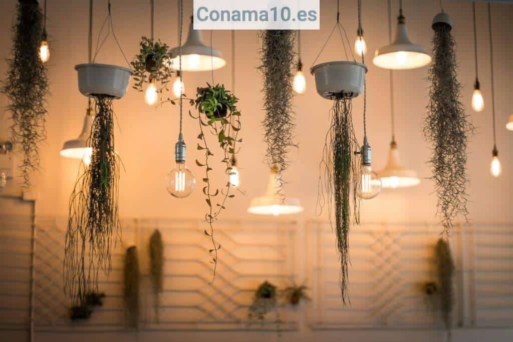 crear un ambiente acogedor con iluminación cálida